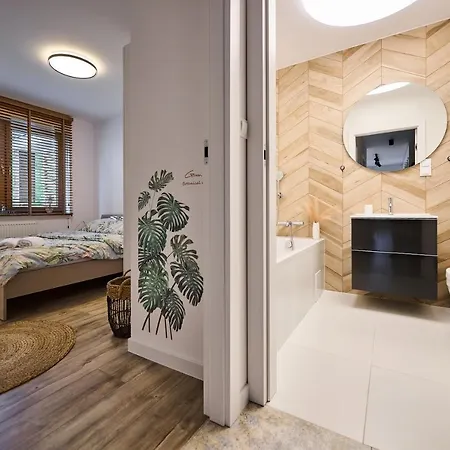 12 Apartment